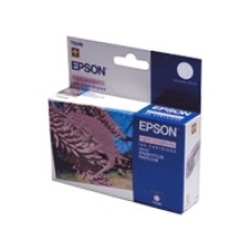 EPSON INK CART LITE MAGEN TA PHOTO 2100 C13T034640